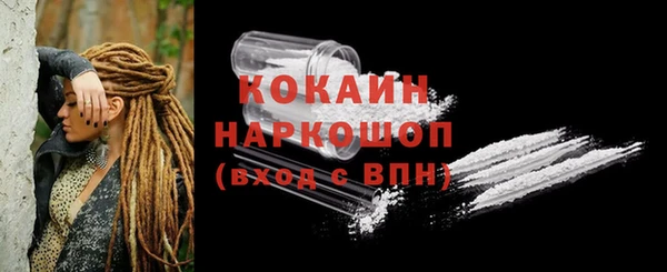 индика Братск