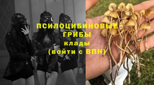 бошки Магадан