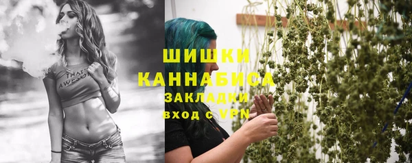 твердый Мегион