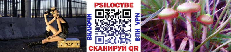 закладки  Кострома  MEGA маркетплейс  Псилоцибиновые грибы Psilocybe 