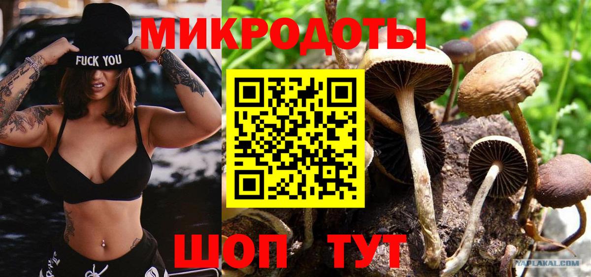 Кострома  Галлюциногенные грибы прущие грибы  Вход с VPN 