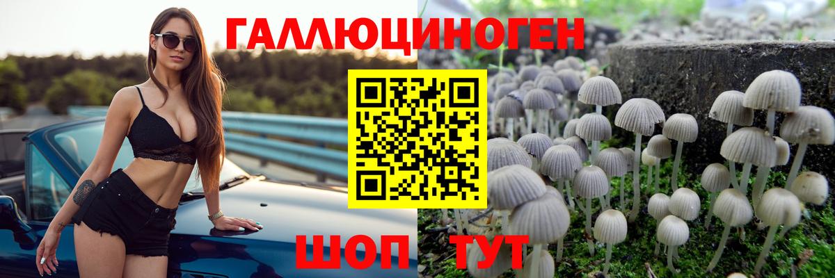 Галлюциногенные грибы Magic Shrooms Кострома
